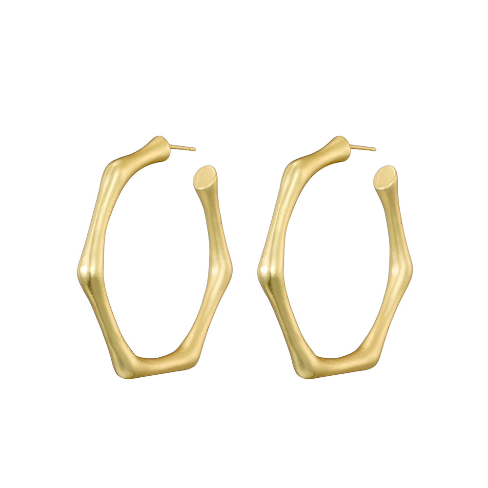 Plating Matt Gold Polygon Earring