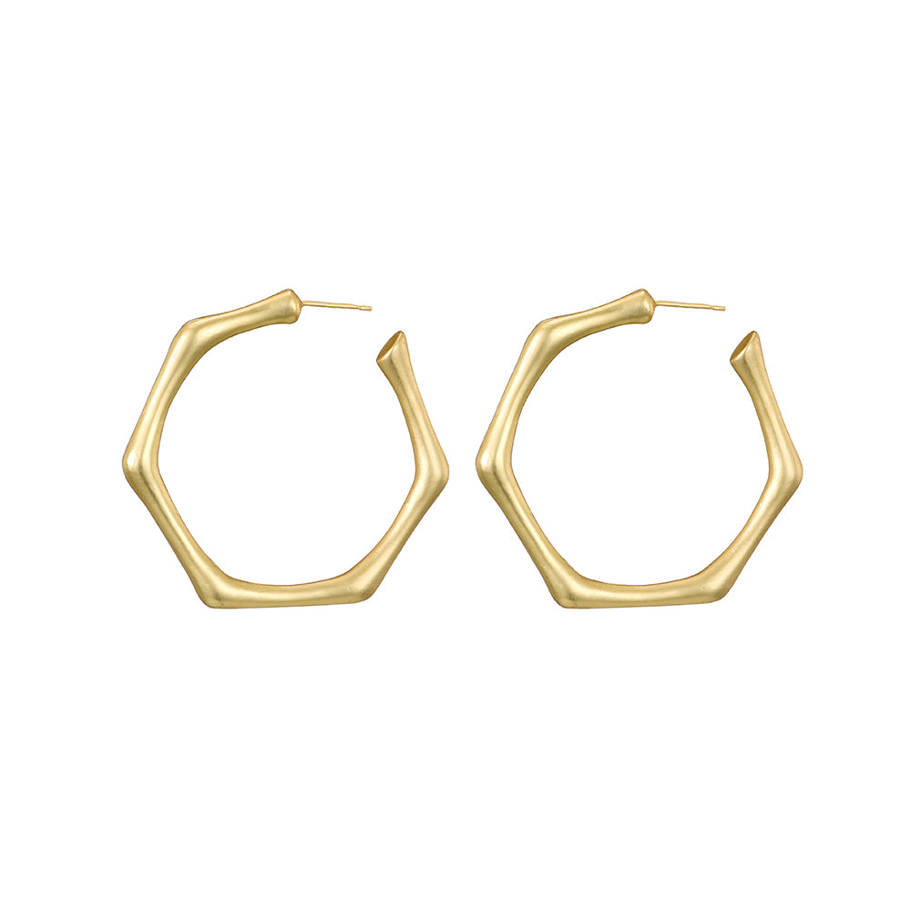 Plating Matt Gold Polygon Earring